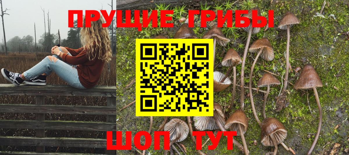 Галлюциногенные грибы MAGIC MUSHROOMS Углич