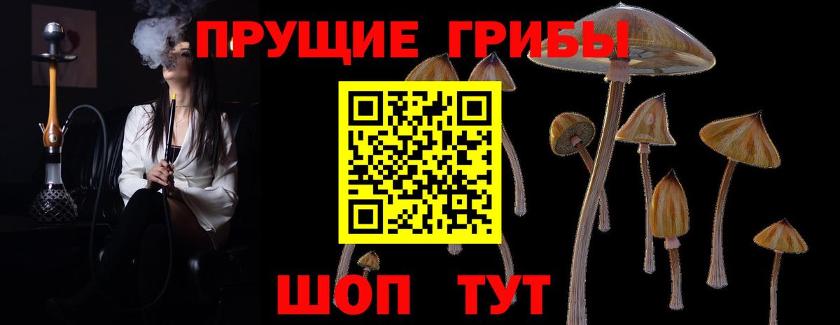Углич  Псилоцибиновые грибы мухоморы  Вход с VPN 